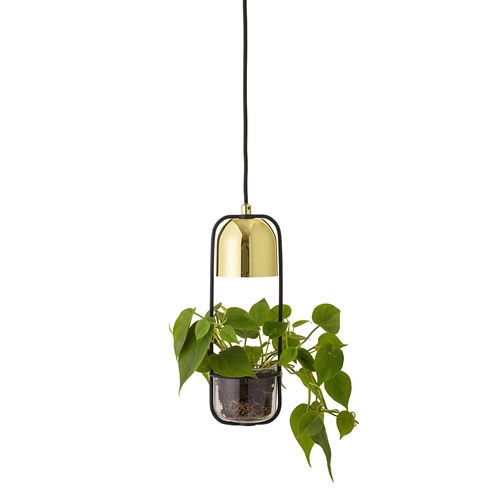 Bloomingville LED-Pendelleuchte Gold-Finish Glas