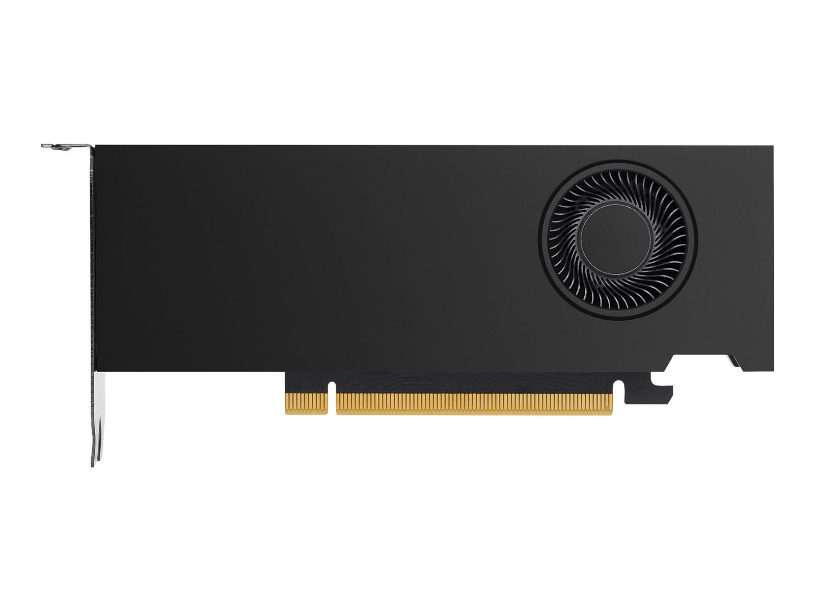 HP NVIDIA RTX A2000 - 12 GB GDDR6 - 4x mDP - Grafikkarte