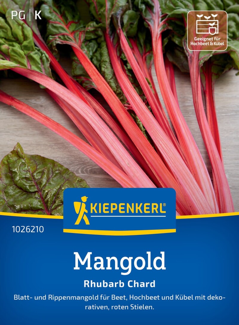 Mangold Rhubarb Chard, Blatt- u.Rippenmangold für Beet, Hochbeet und Kübel - rote Stiele