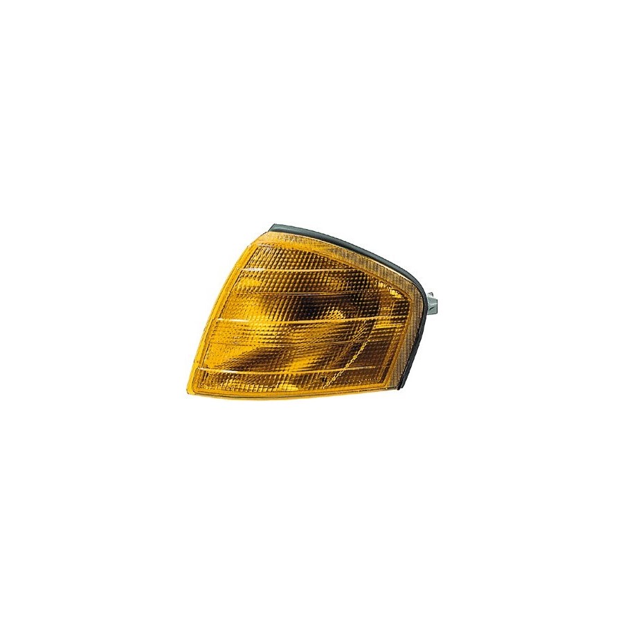 Verre de lampe, indicateur droit 9EL 150 988-001 Hella