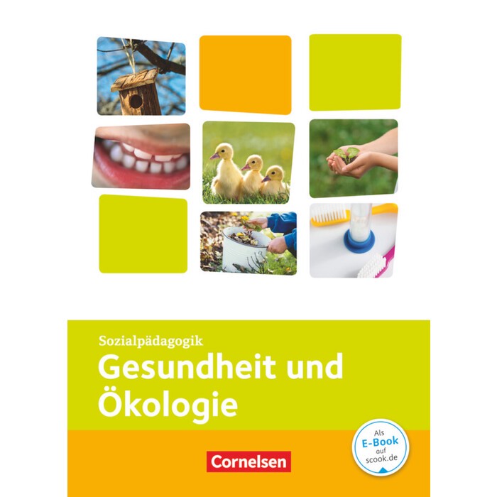 Kinderpflege - Gesundheit und Ökologie / Hauswirtschaft / Säuglingsbetreuung / Sozialpädagogische Theorie und Praxis - gebunden