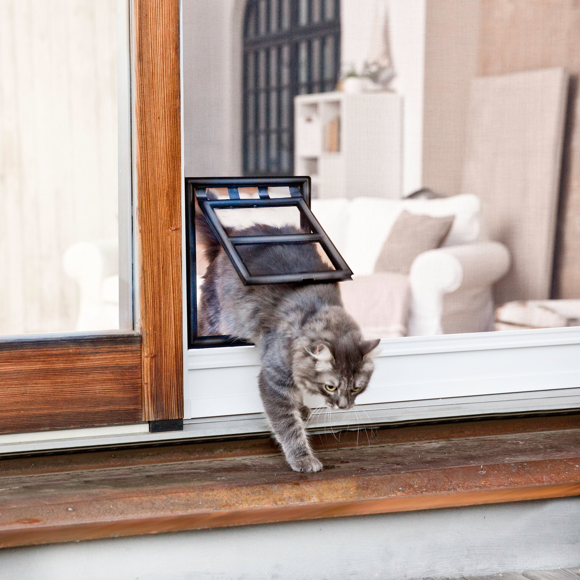 Insektenschutz Katzentür ClipSystem