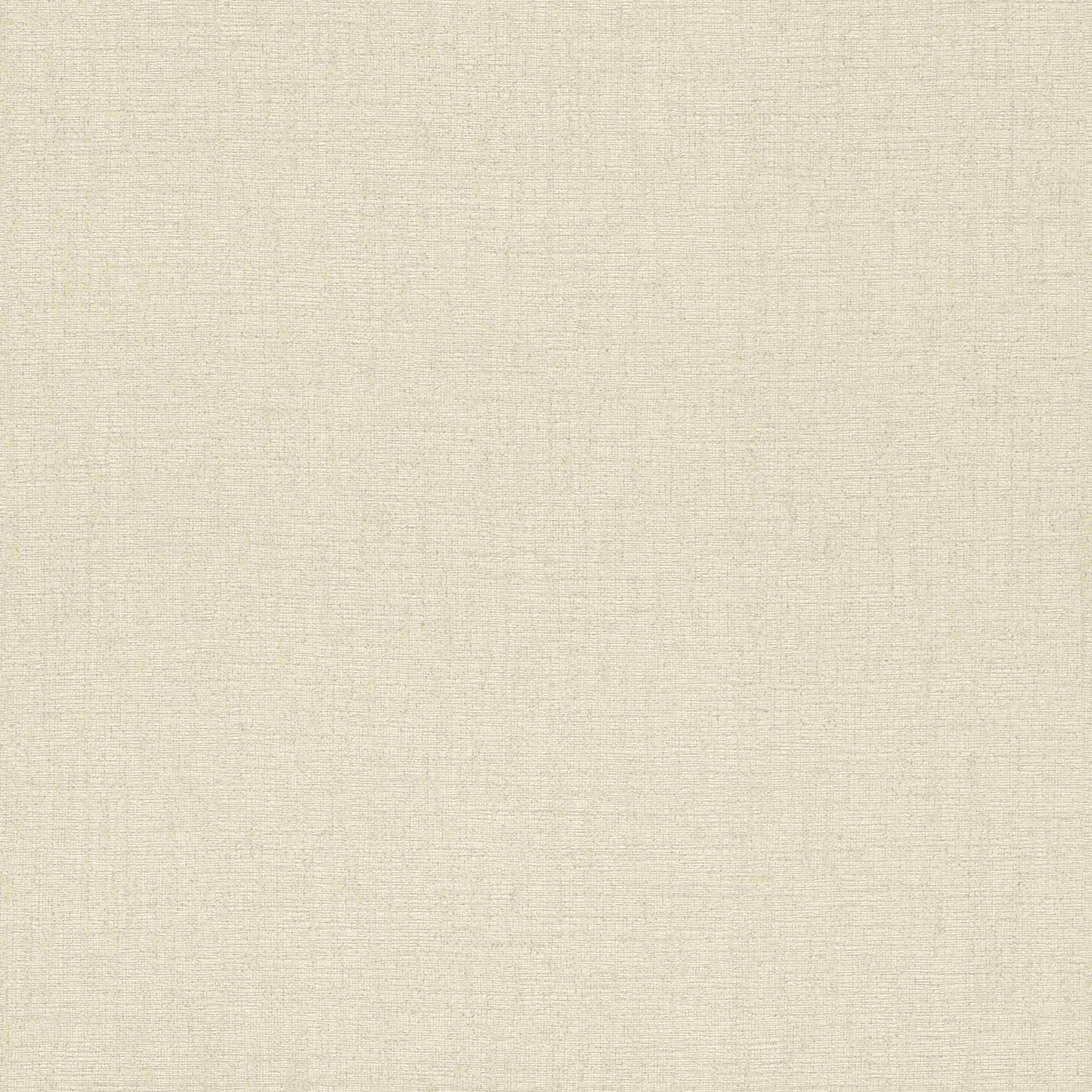 Rasch | Andy Wand | 650570 | Vliestapete | Einfarbig | Uni | 0.53 x 10.05 m | Beige