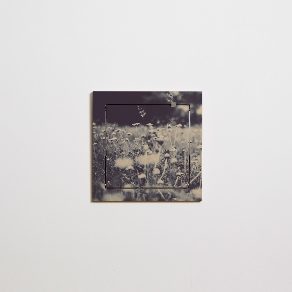 Fläpps Regal 40x40-1 – Wild and Free - Ingrid Beddoes