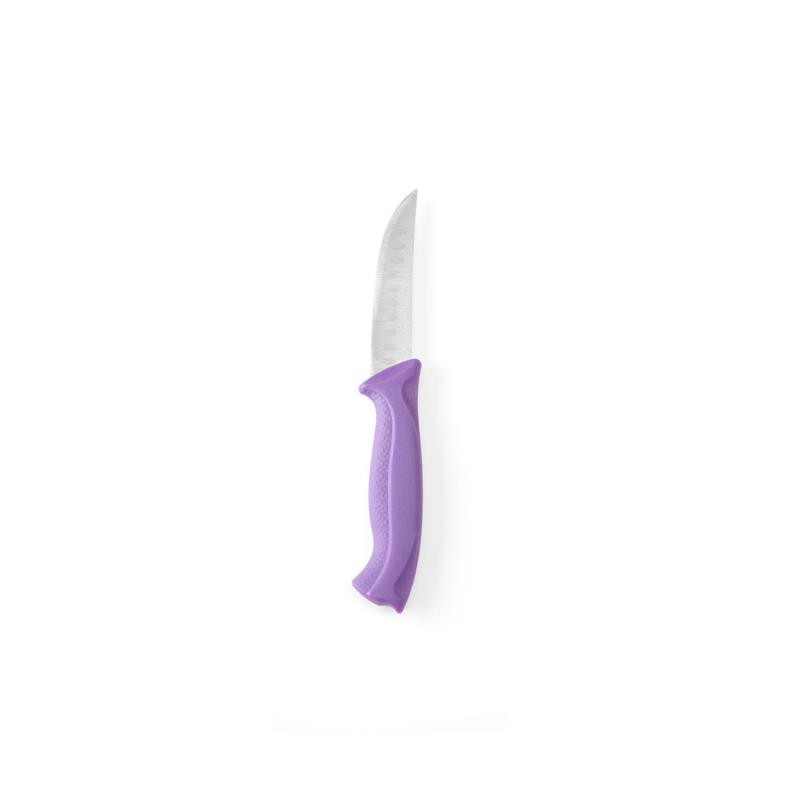 HENDI Universalmesser antiallergen 9 cm Klinge HACCP 1,2 mm Edelstahl Länge: 19 cm violett lila, Messer antiallergisch