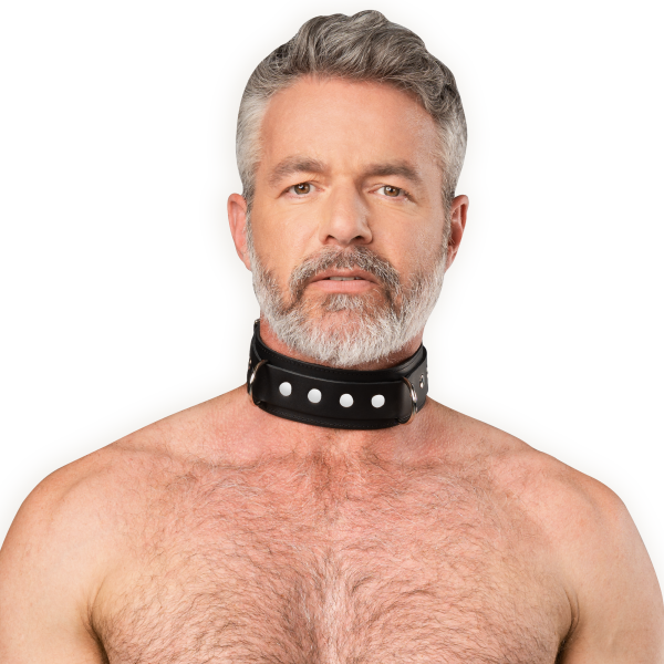 Leder-Halsband mit doppeltem D-Ring – Schwarz