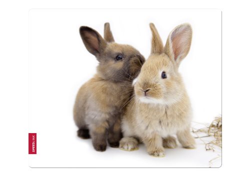 Speedlink Silk Mauspad Hasen weiche Oberfläche