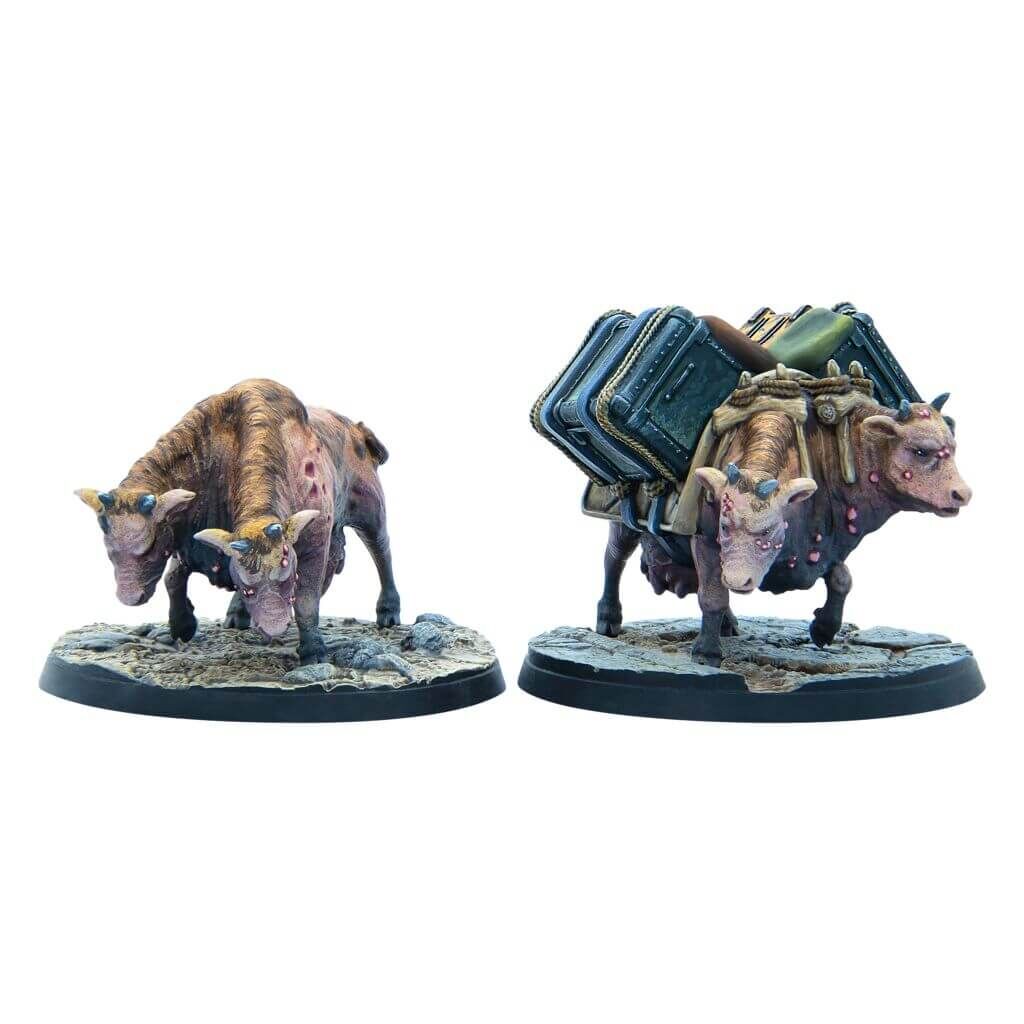Wasteland Creatures: Brahim Herd