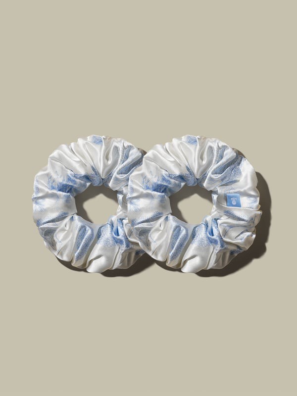 LILYSILK Seiden Haargummi Wei? Und Blau Deutschland Charmeuse Seide Komfort Und Zeitlose Eleganz Luxuri?sen Haargummis