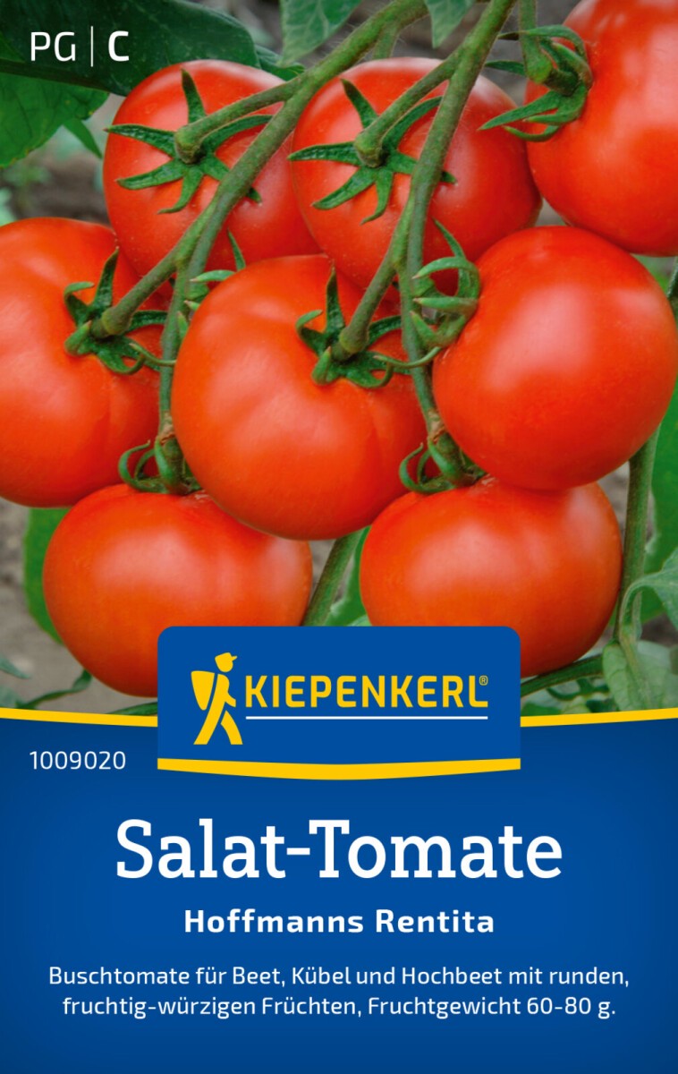 Salat-Tomate Hofmanns Rentita, Buschtomate für Beet Kübel und Hochbeet - fruchtig-würzig, Kiepenkerl