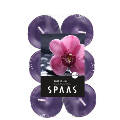 Teelichter Duft Wilde Orchidee 12 Stück 4,5 H