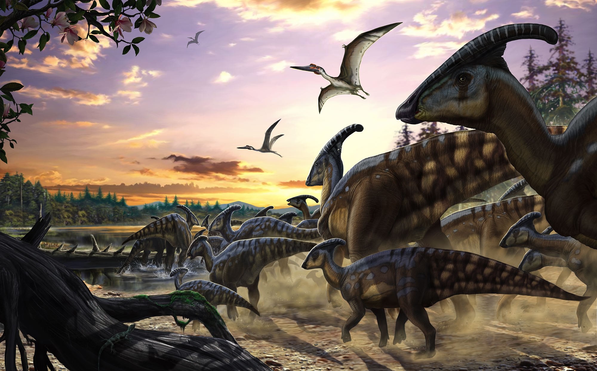 Fototapete Parasaurolophus Herd