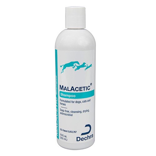 Malacetic Shampoo For Dogs & Cats 230 Ml 1 Pack