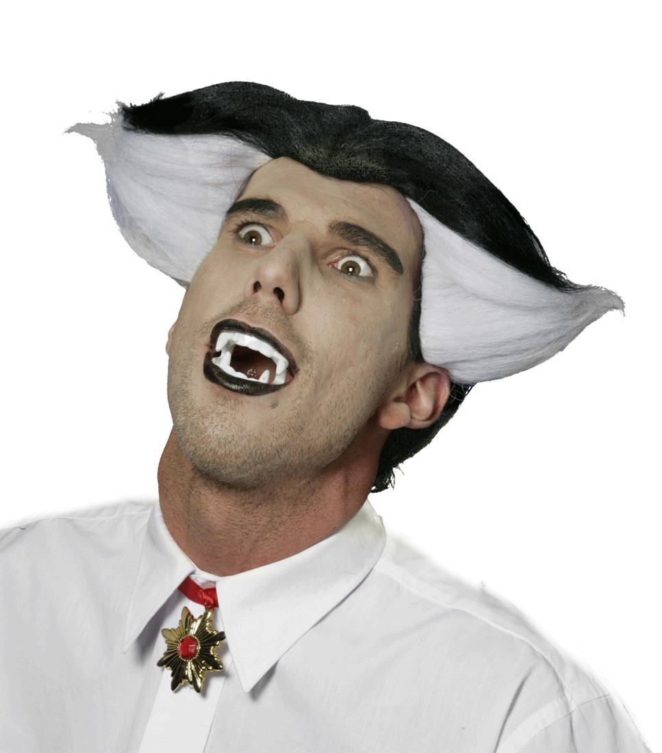 Vincent Vampir Schwarz-Weiß Perücke