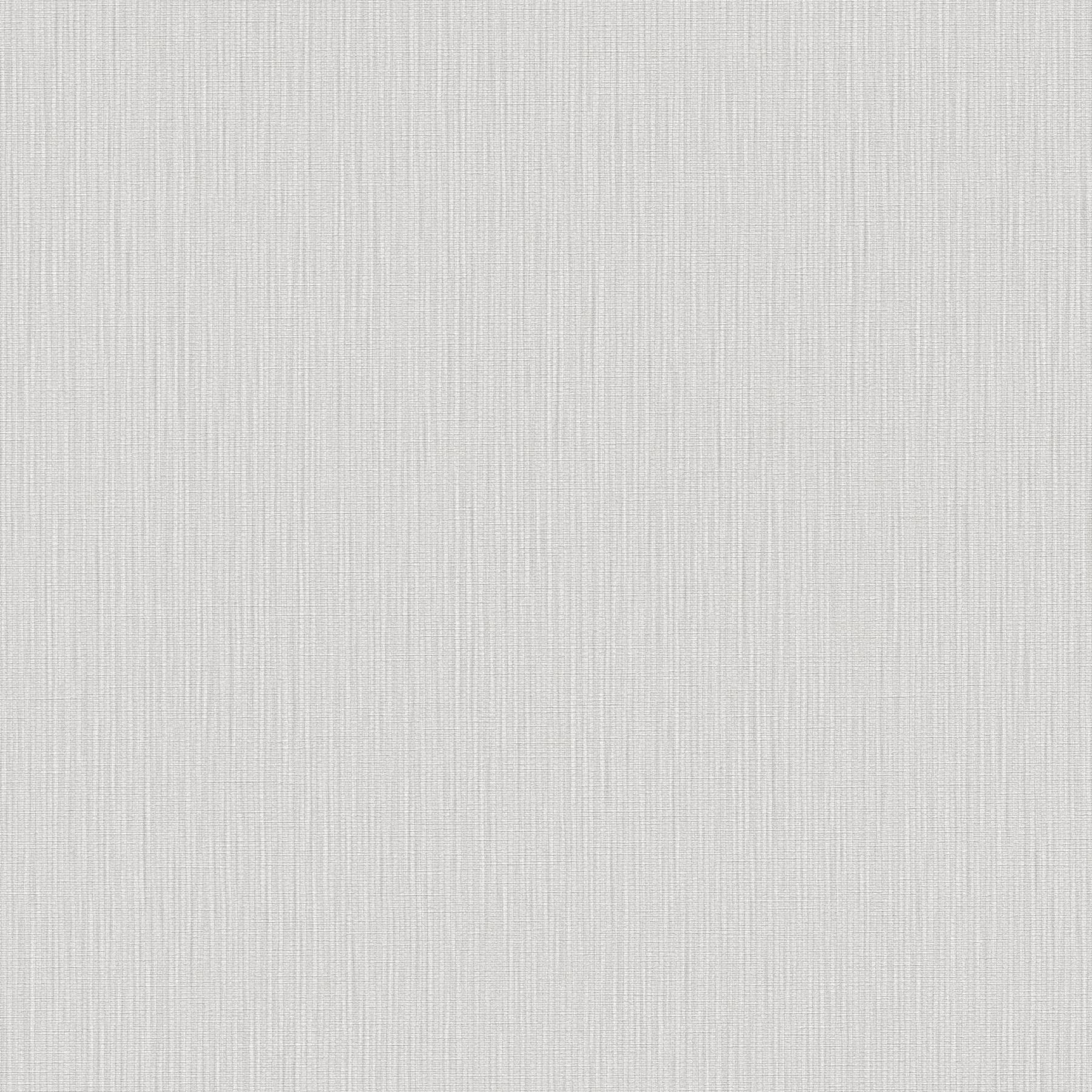 Vliestapete 399863 Grau Uni Einfarbig Michalsky 6 A.S. Creation