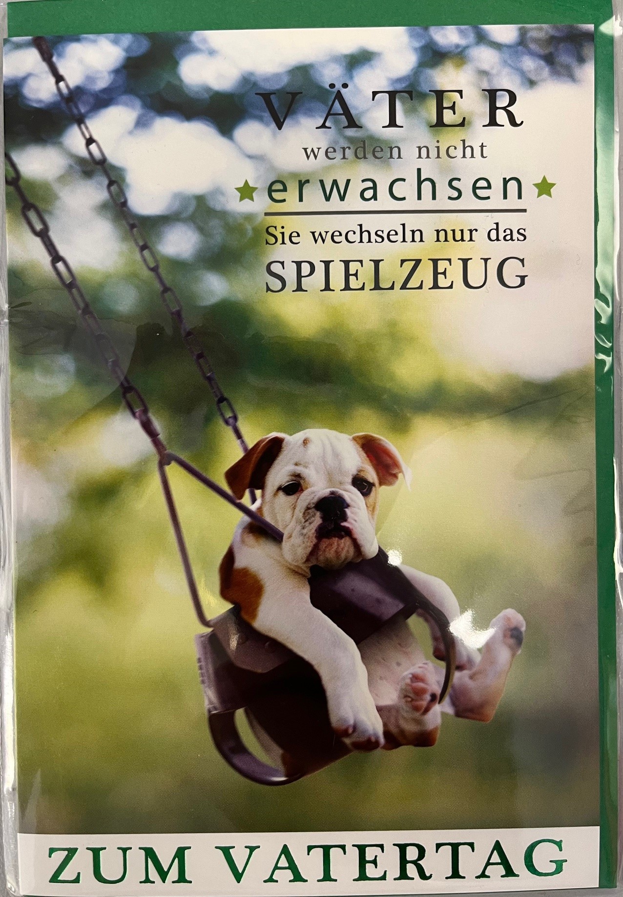 Vatertag Karte mit Umschlag Hund Schaukel Väter werden nicht erwachsen, sie wechseln nur das Spielzeug