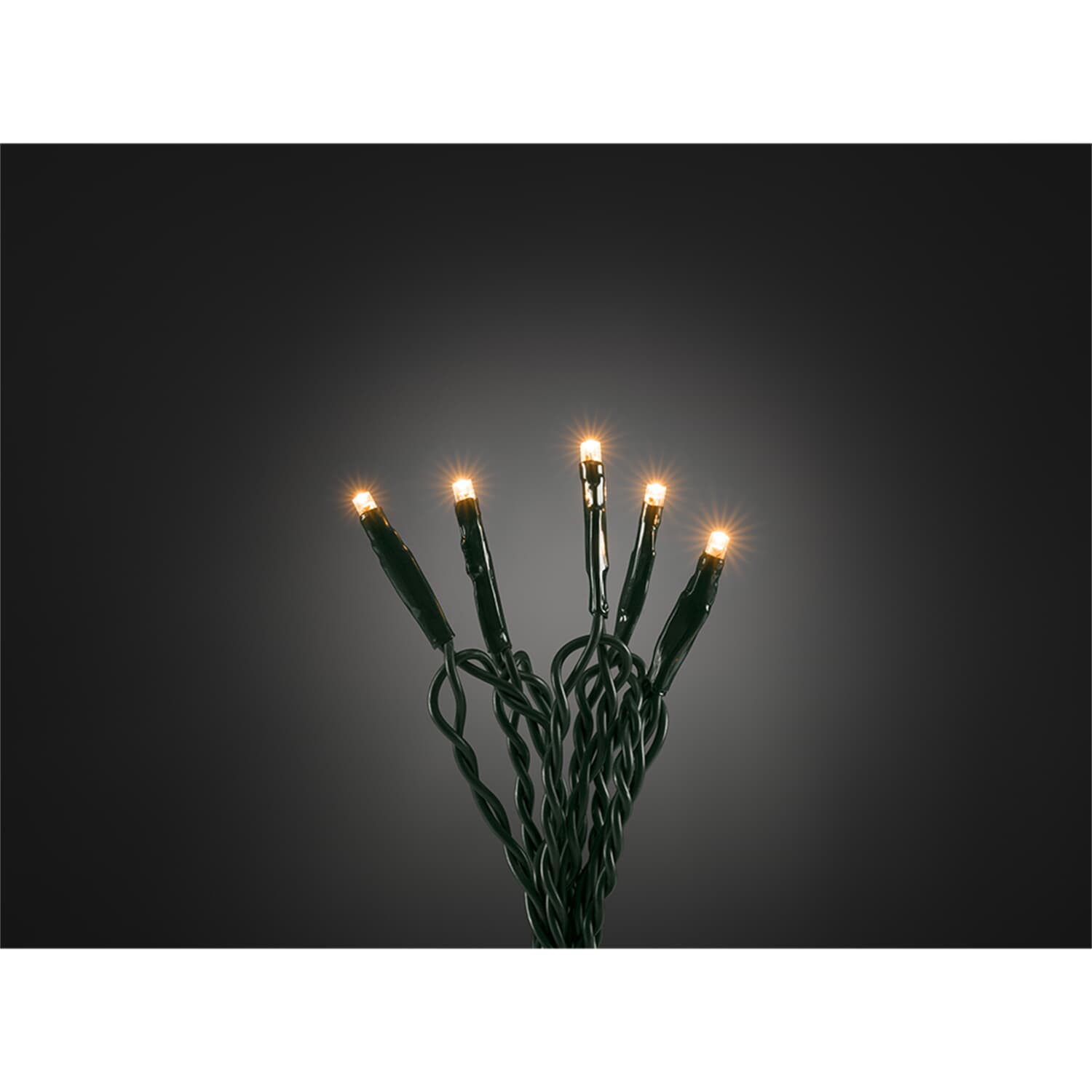 LED Micro Lichterkette mit 100 Dioden