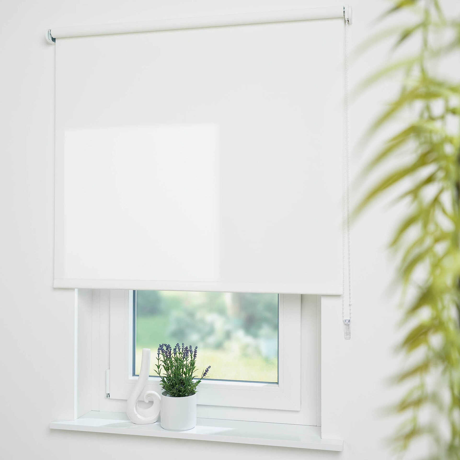 Seitenzug-Rollo Uni Tageslicht