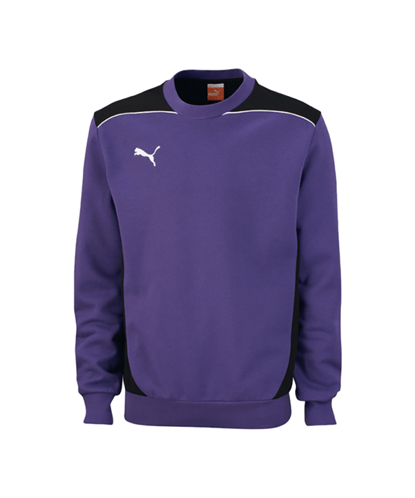 PUMA Foundation Sweatshirt Kids Lila Schwarz F10