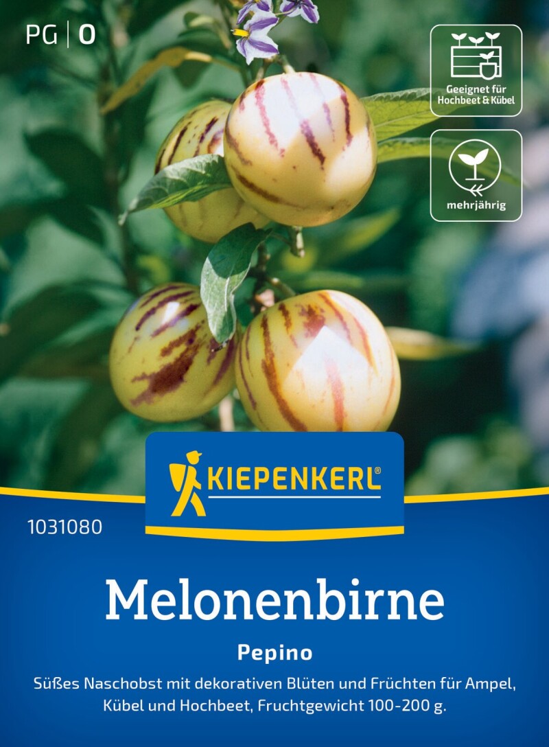 Pepino Melonenbirne, süßes Naschobst - für Ampeln, Kübel und Hochbeet, Fruchtgewicht: 100-200 g