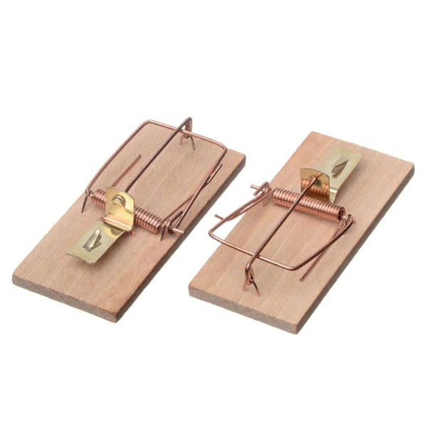 Klassische Mausefalle (2 Stück)