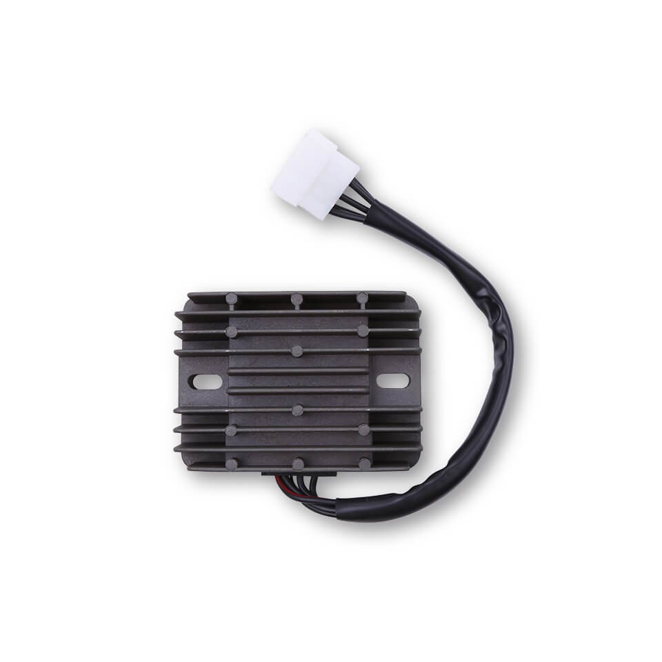 ElectroSport Charge controller ESR 100