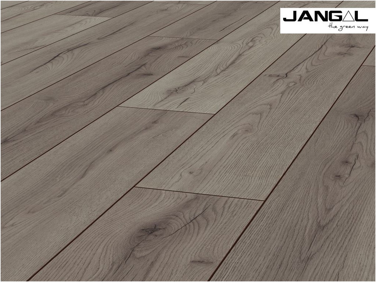 Laminat Jangal 8054 Grey Oak National Park Line Plus 8mm