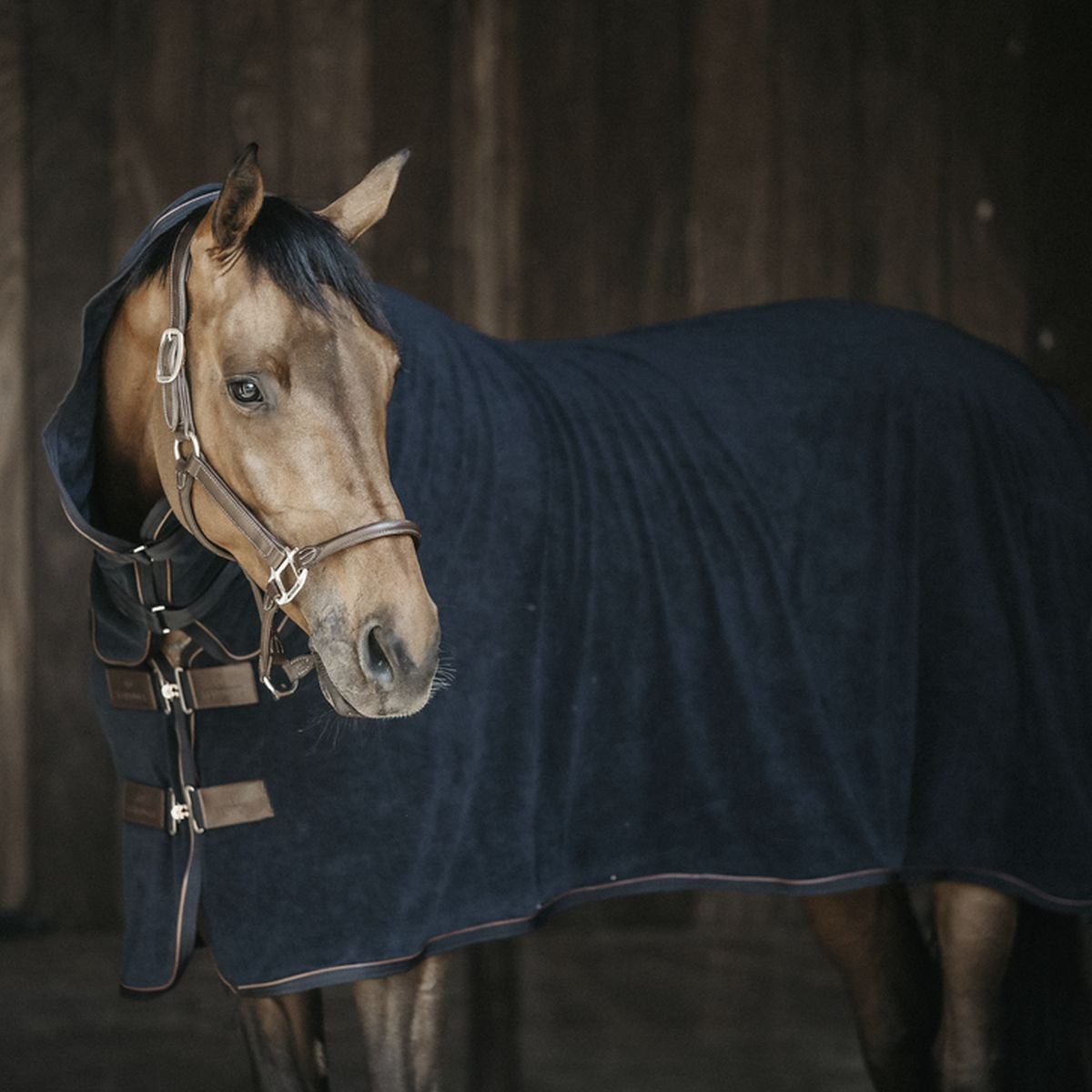 Kentucky Horsewear Decke TOWEL schwarz M