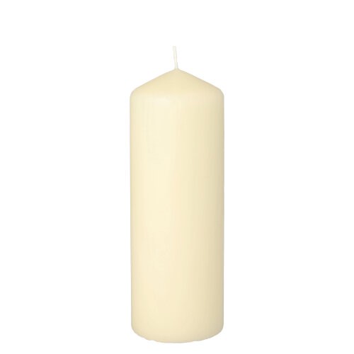 Stumpenkerzen creme Ø 60 mm · 165 mm (Karton)