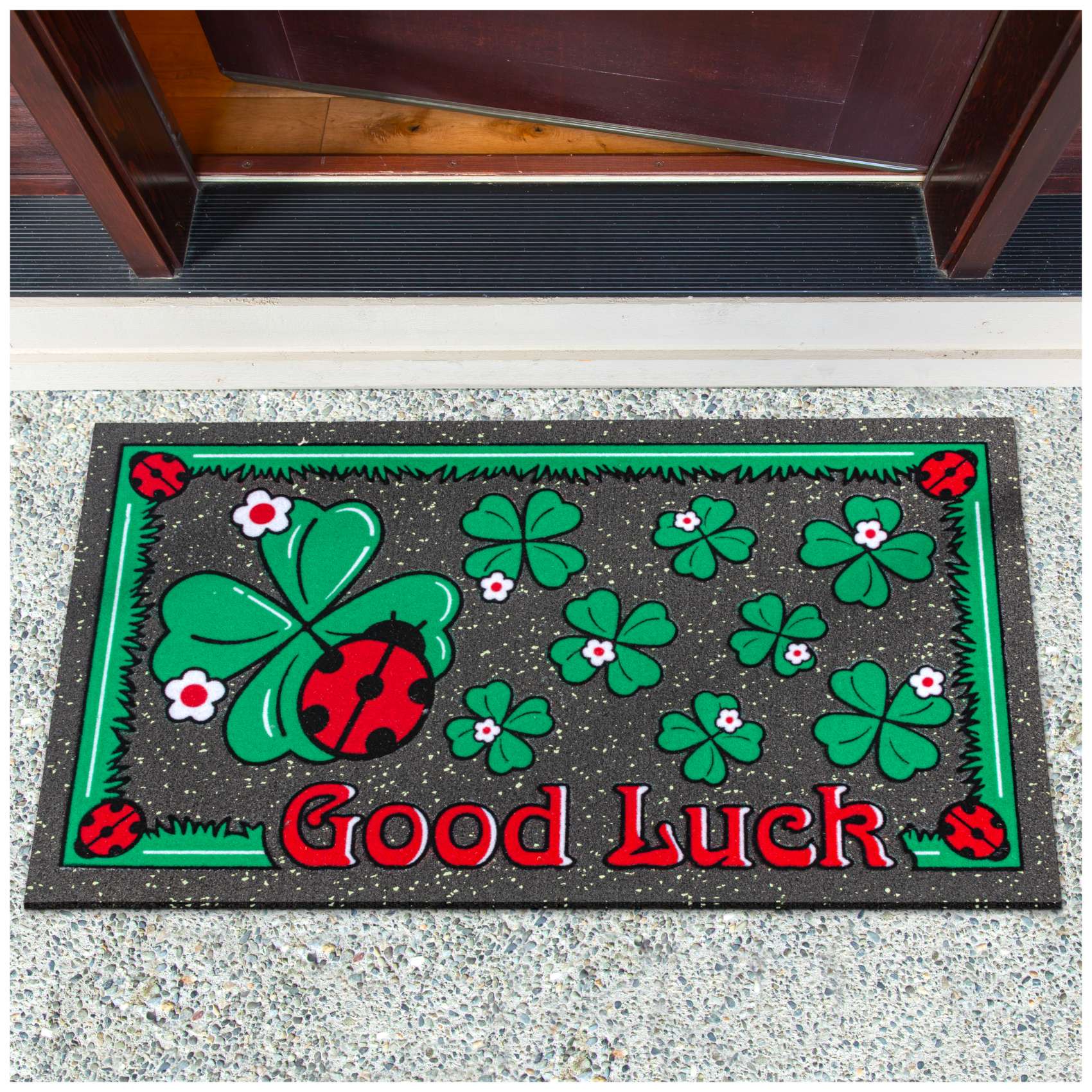 Schmutzfangmatte Fußmatte Türvorleger rutschfest Good Luck Marienkäfer 40x68cm