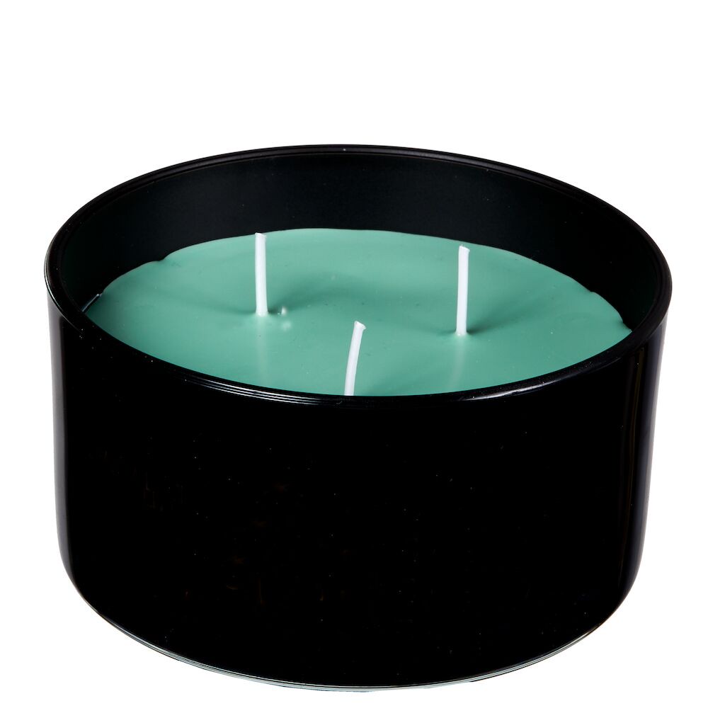 Duftkerze in Glas "Forest Breeze - pine & cedar trees"