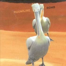 Ruumiline (Spatial) - Songs from 2002-2007 (gently grooving world-music club beats exotic sounds and savage natural rhythms)