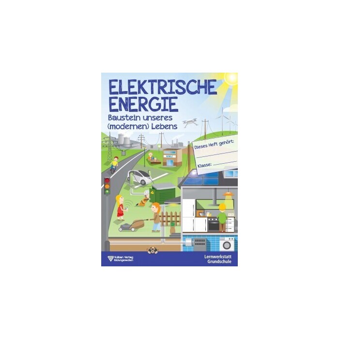 Tatjana Holzenhauer: Elektrische Energie - Taschenbuch