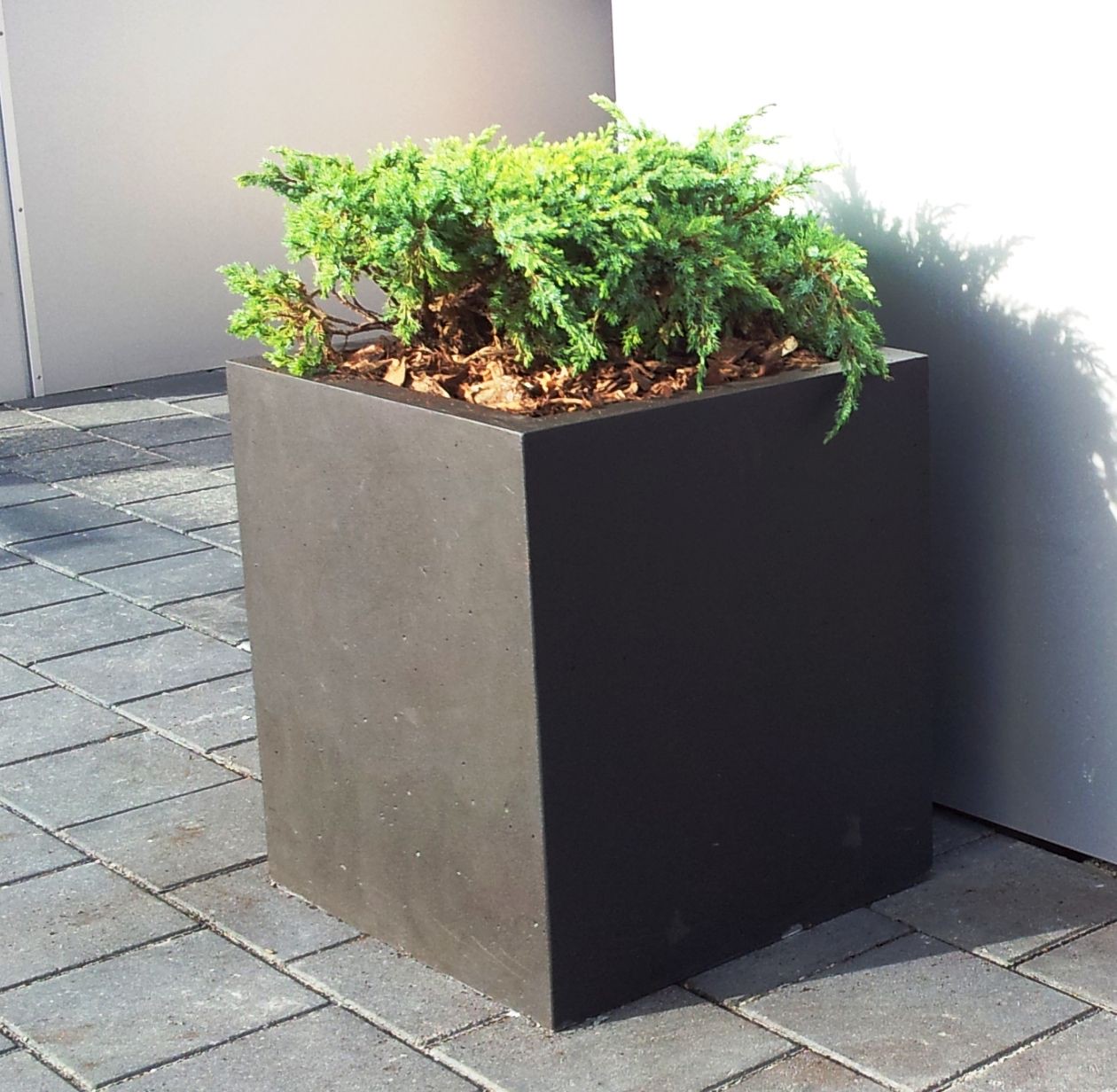 Pflanzkasten Rosel-béton Architekturbeton 40 x 40 x 45 cm 