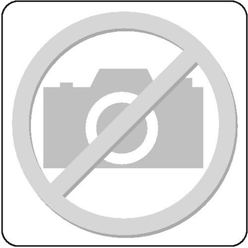 Arbeitstisch B2000xT800xH760-1080mm, Arbeitsplatte Linoleum Gestell lichtgrau