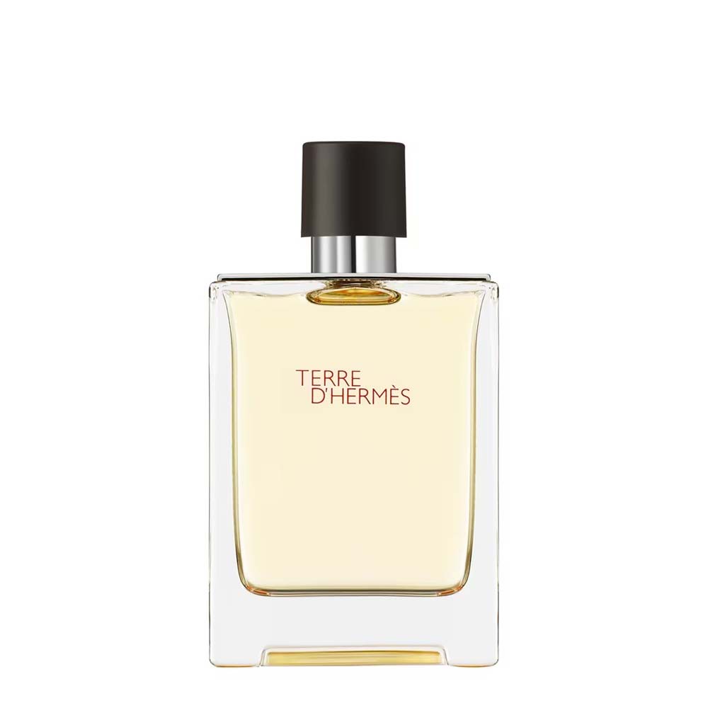 Hermès Terre d'Hermès Eau de Toilette - 100 ml
