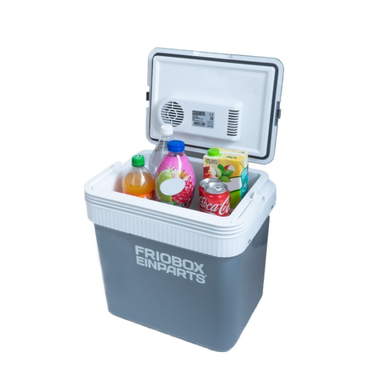 EINPARTS EPFB01 Kühlbox grau