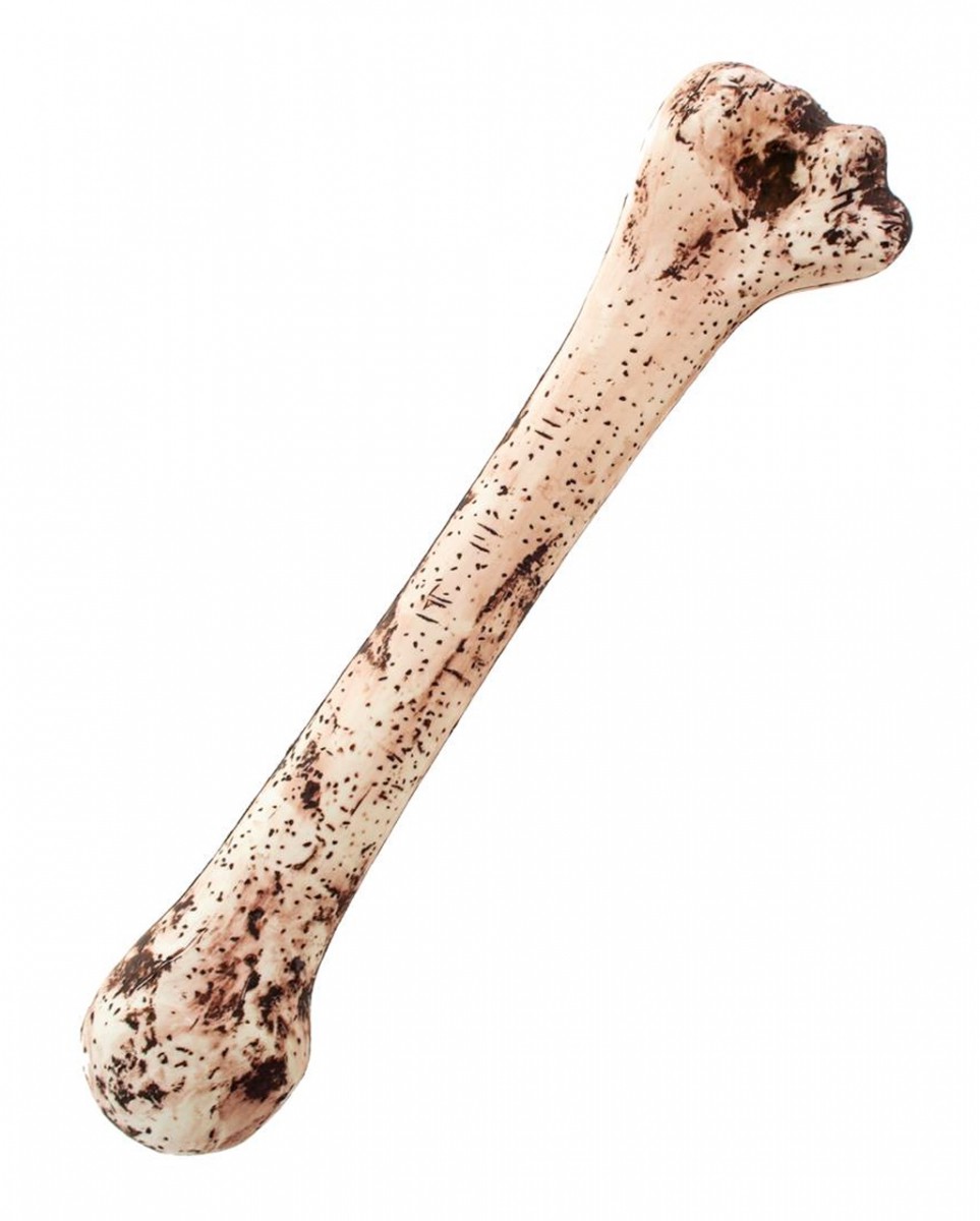 Menschlicher Knochen Kunststoff 34cm