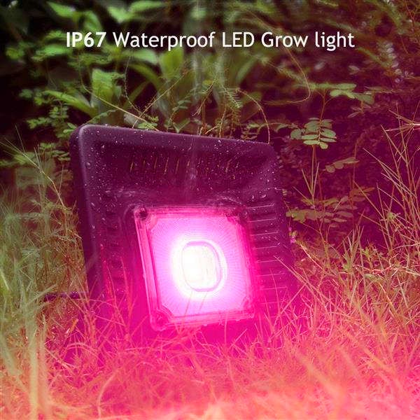 Nouveau design 150w imperméable à l'étanche LED Cultiver des lumières de haute qualité Light Spectrum lumineux LED Lampe de croissance de la plan