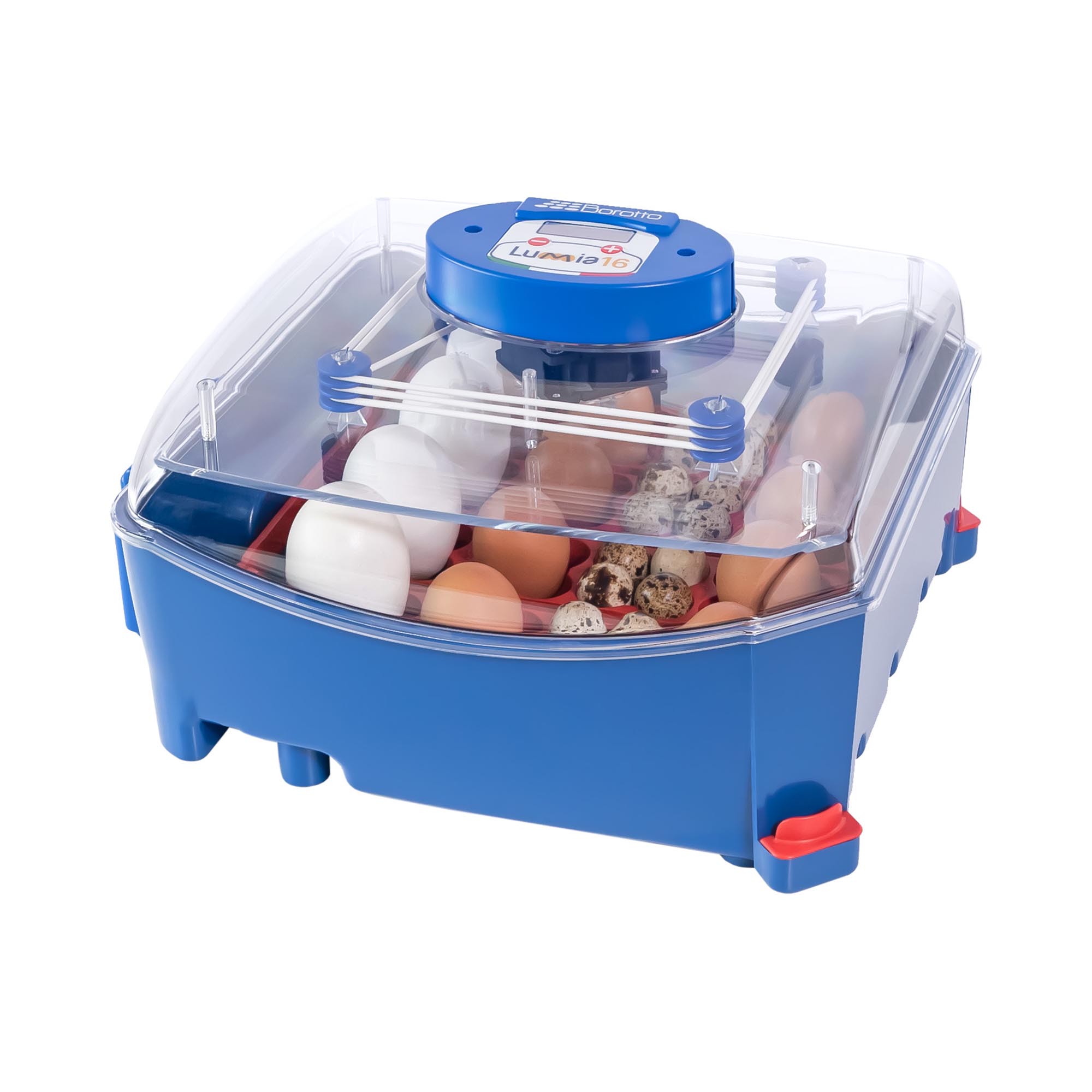 Borotto Brutapparat - 16 Eier - vollautomatisch - antimikrobieller Biomaster-Schutz